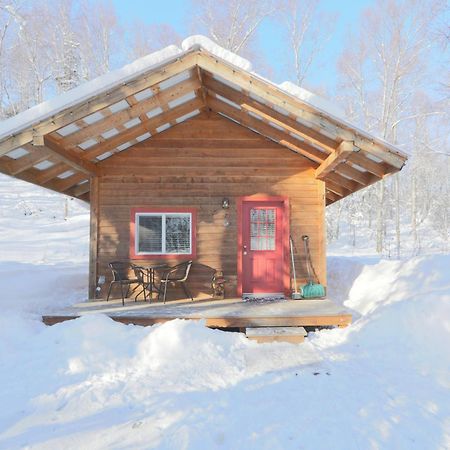 Spruce Cabin Talkeetna Exterior foto